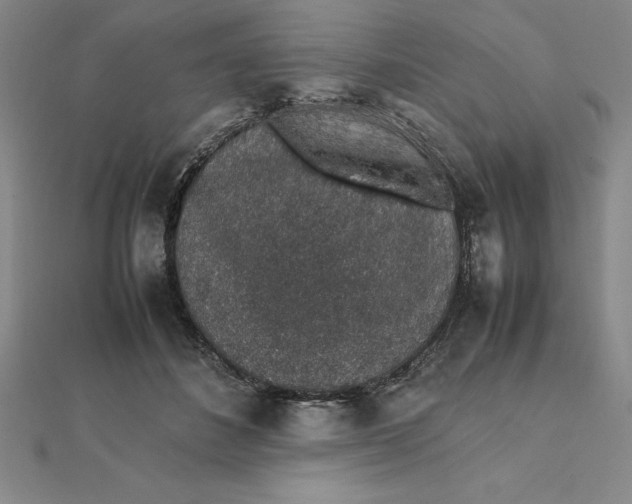 X0000112110508200908251214