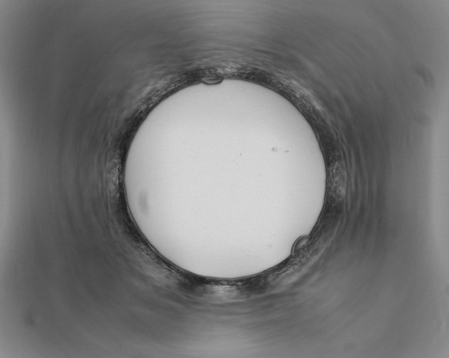 X0000112110509200908251214