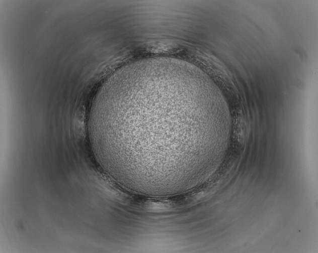 X0000112110510200908251214