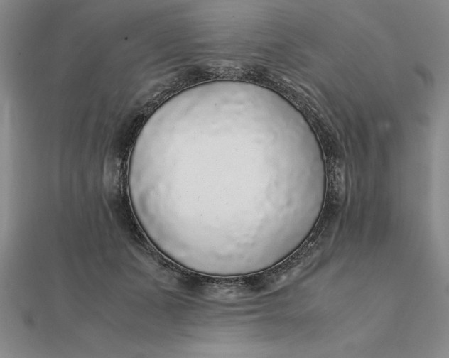 X0000112110511200908251214