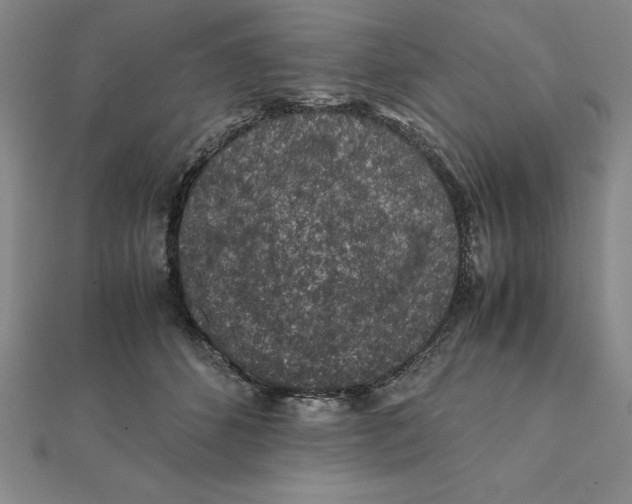 X0000112110512200908251214