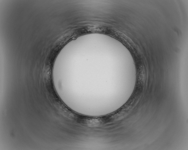 X0000112110513200908251214