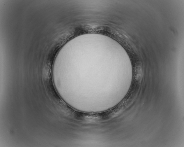 X0000112110515200908251214