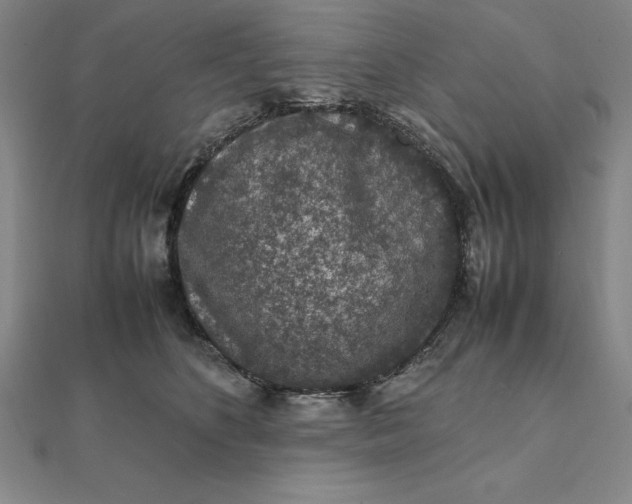 X0000112110516200908251214