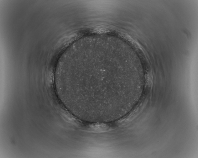 X0000112110517200908251214