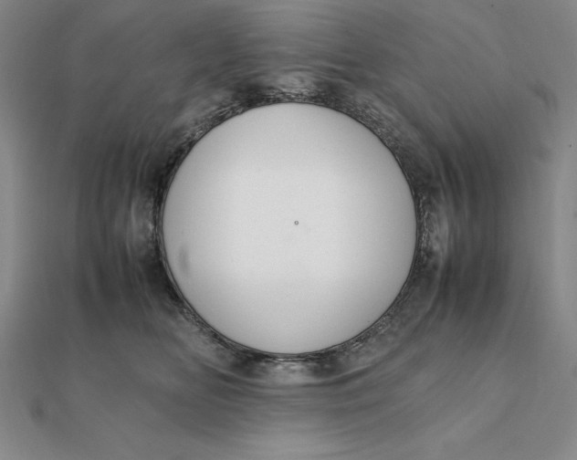 X0000112110518200908251214