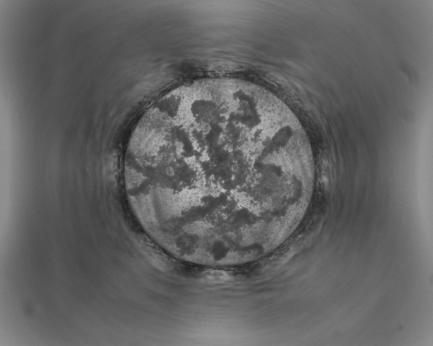 X0000112110519200908251214