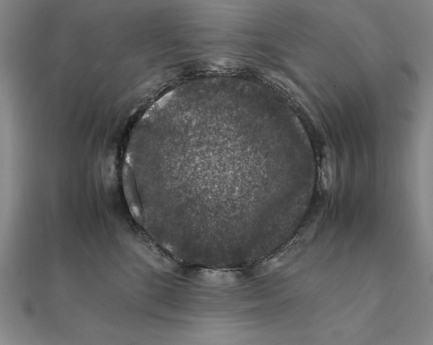 X0000112110520200908251214