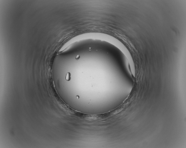 X0000112110521200908251214