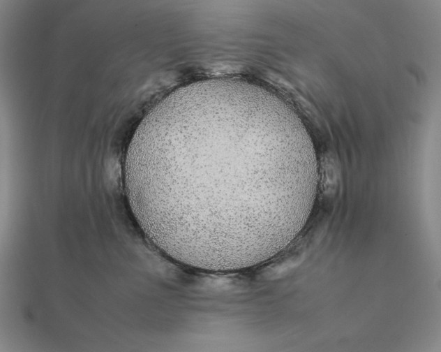 X0000112110523200908251214