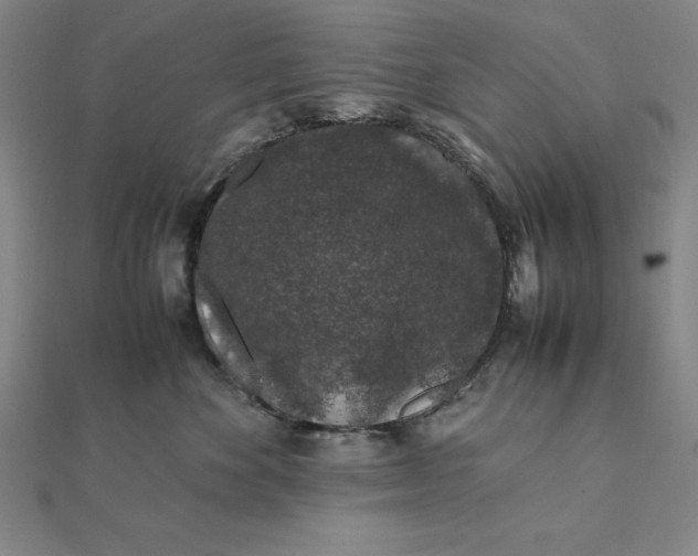 X0000112110524200908251214