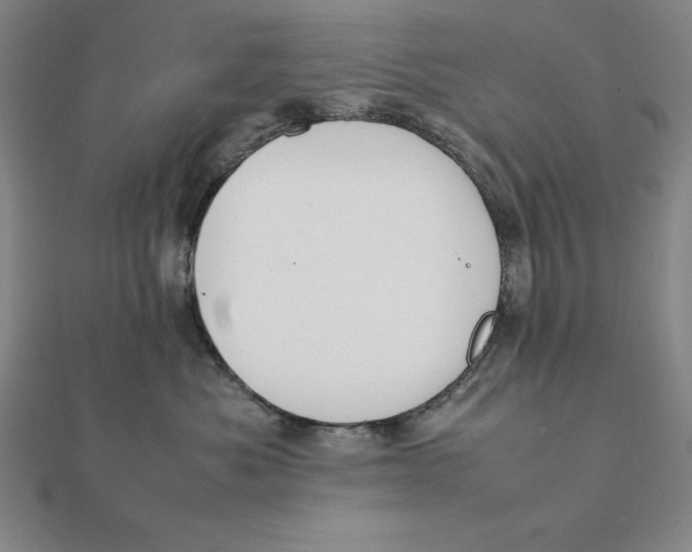 X0000112110525200908251214