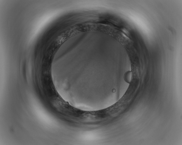 X0000112110526200908251214