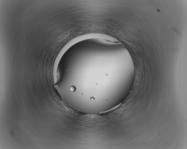 X0000112110528200908251214