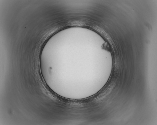 X0000112110529200908251213