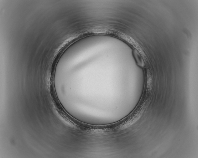 X0000112110530200908251214