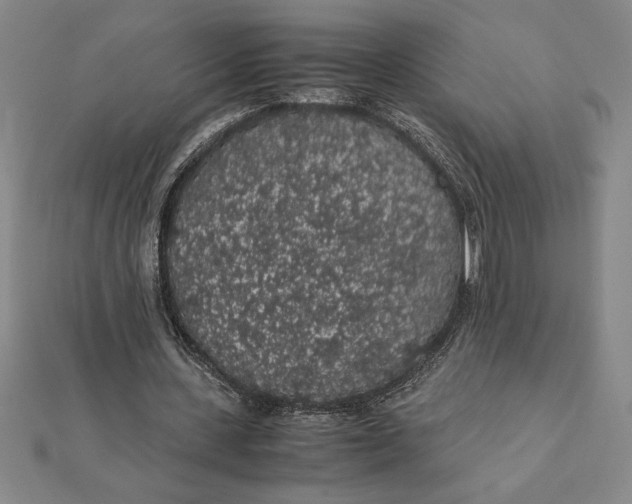 X0000112110531200908251214