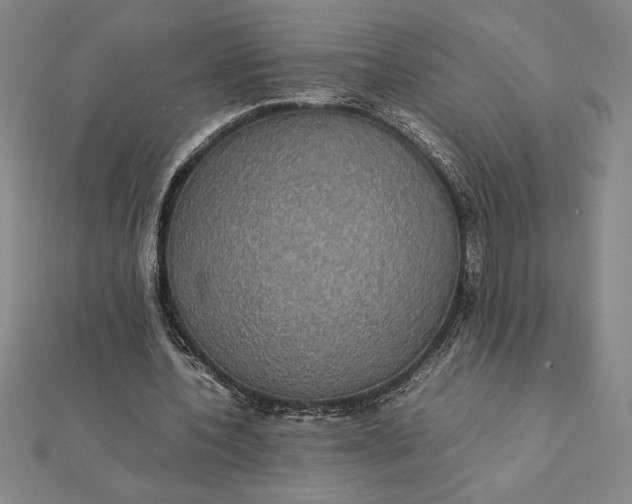 X0000112110532200908251214