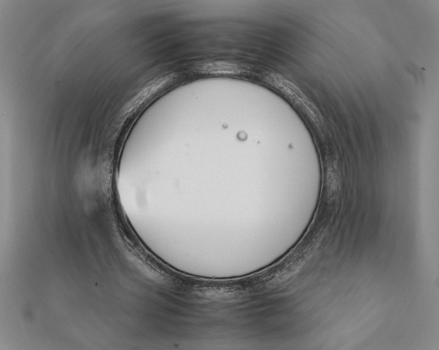 X0000112110533200908251214