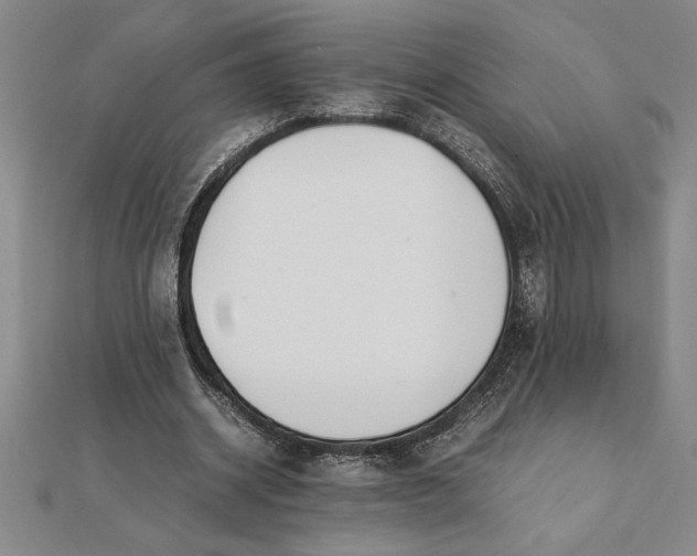 X0000112110534200908251214