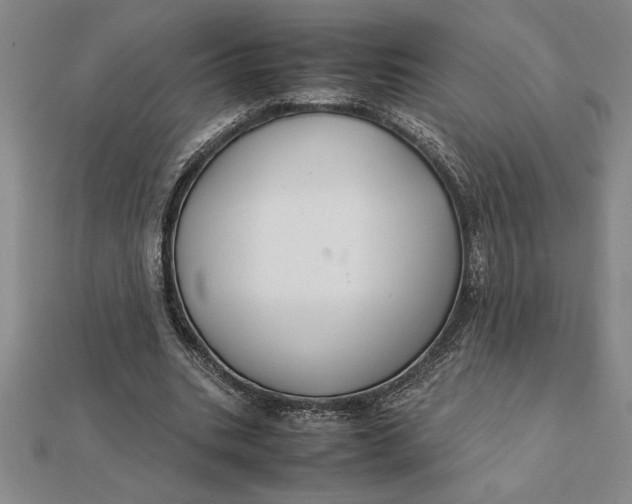 X0000112110535200908251214