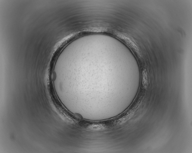 X0000112110536200908251214