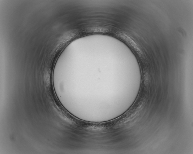 X0000112110537200908251214