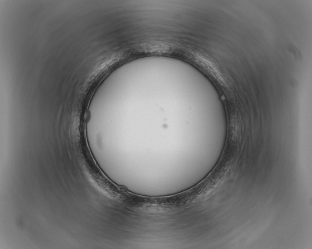 X0000112110538200908251214