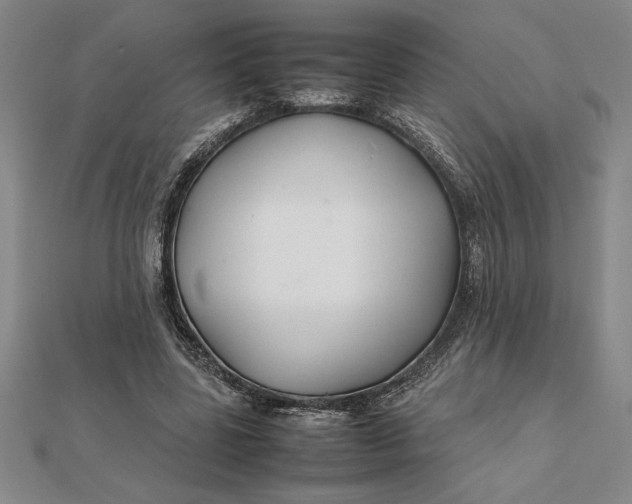 X0000112110539200908251214