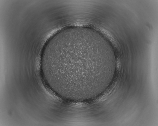 X0000112110540200908251214