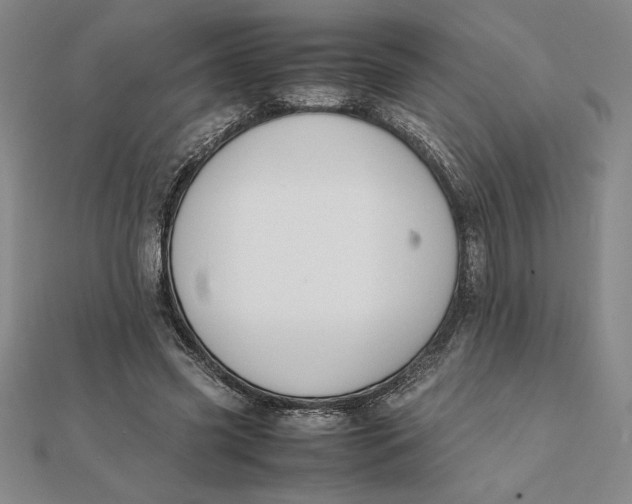 X0000112110541200908251214