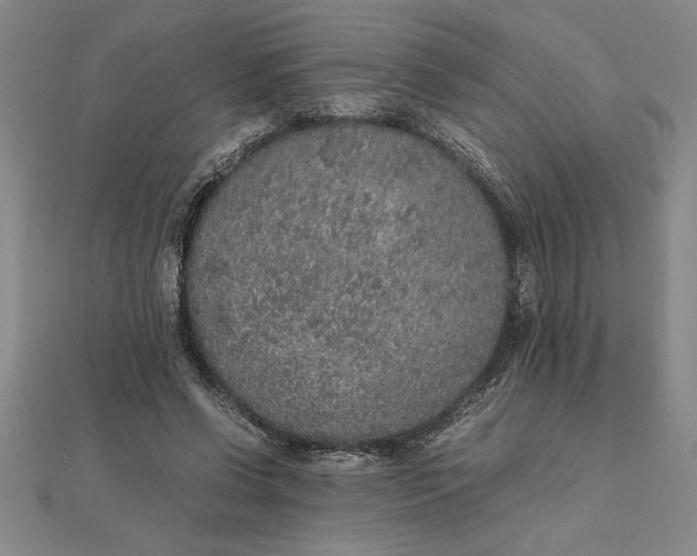 X0000112110542200908251214