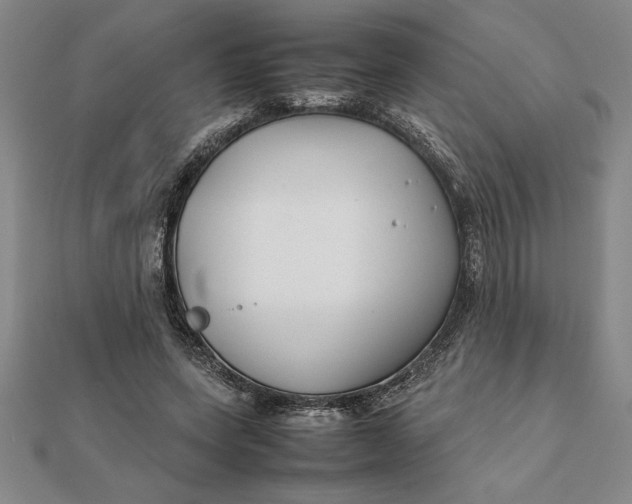 X0000112110543200908251214