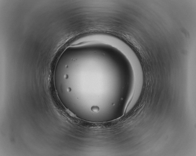 X0000112110544200908251214