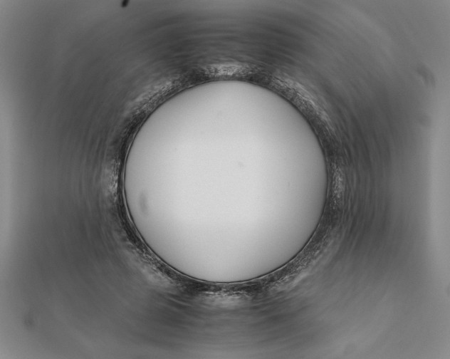 X0000112110545200908251214