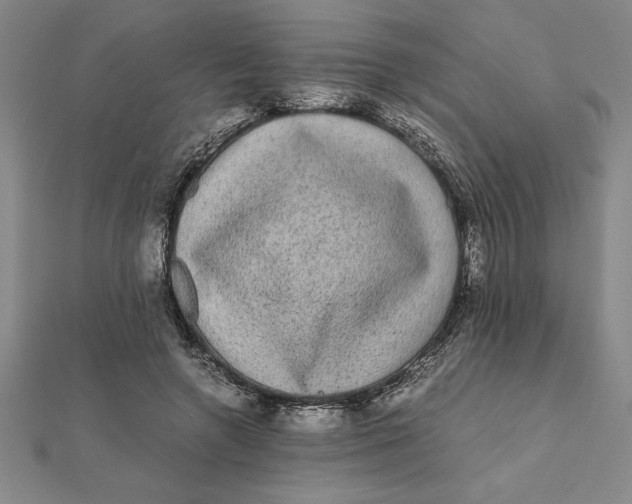 X0000112110546200908251214