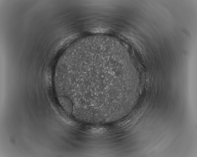 X0000112110547200908251214