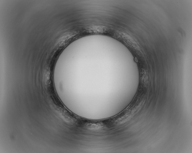 X0000112110548200908251214