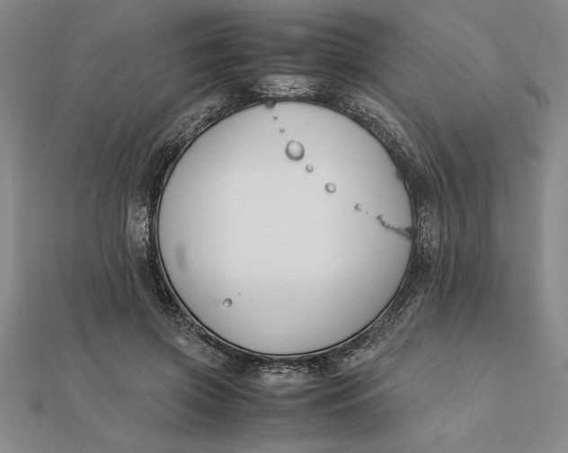 X0000112110549200908251214