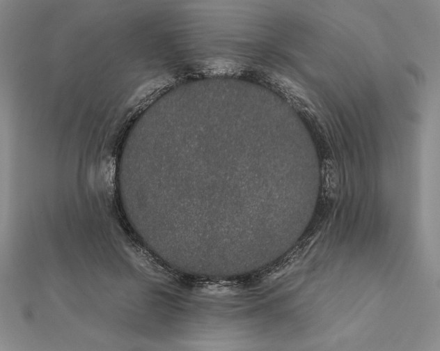 X0000112110550200908251214