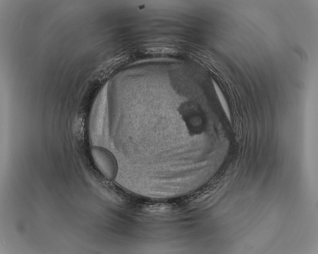 X0000112110551200908251214