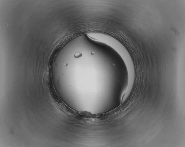 X0000112110552200908251214