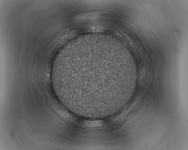 X0000112110553200908251214