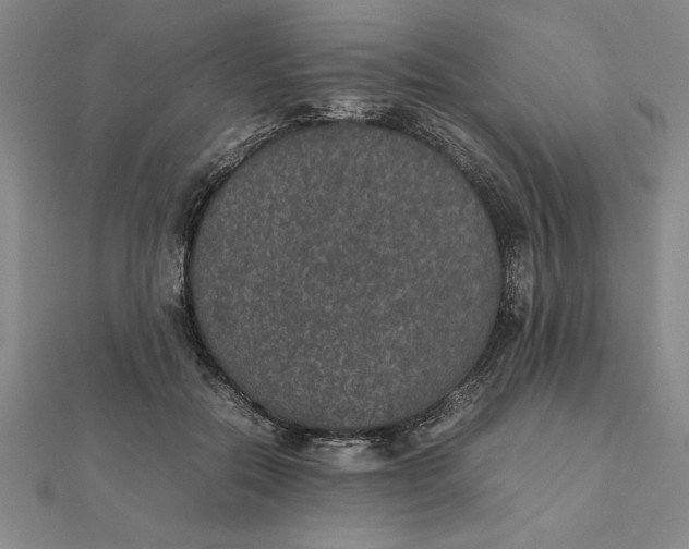 X0000112110554200908251214