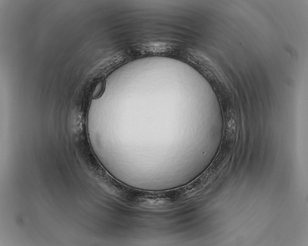 X0000112110555200908251214