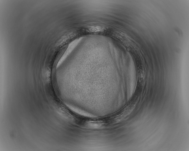 X0000112110556200908251214