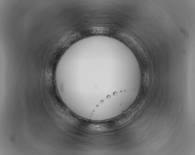 X0000112110557200908251214