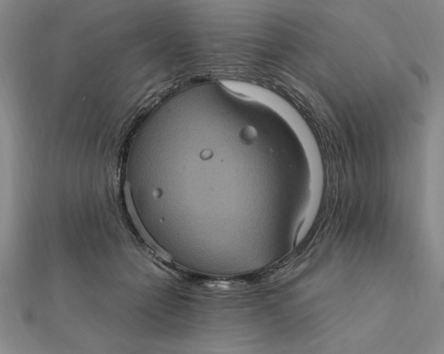 X0000112110558200908251214