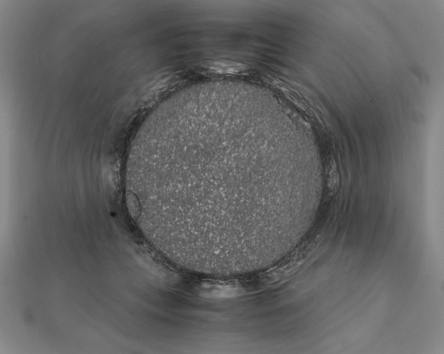 X0000112110559200908251214