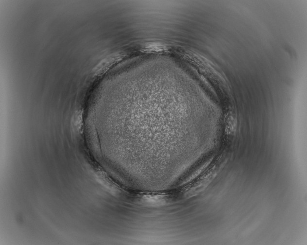 X0000112110560200908251214